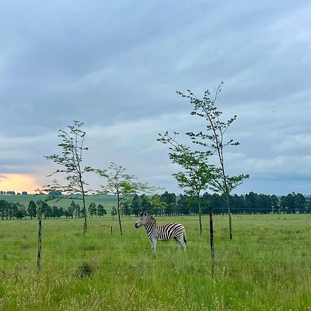 Merino Stal Guest Farm Ermelo Dış mekan fotoğraf