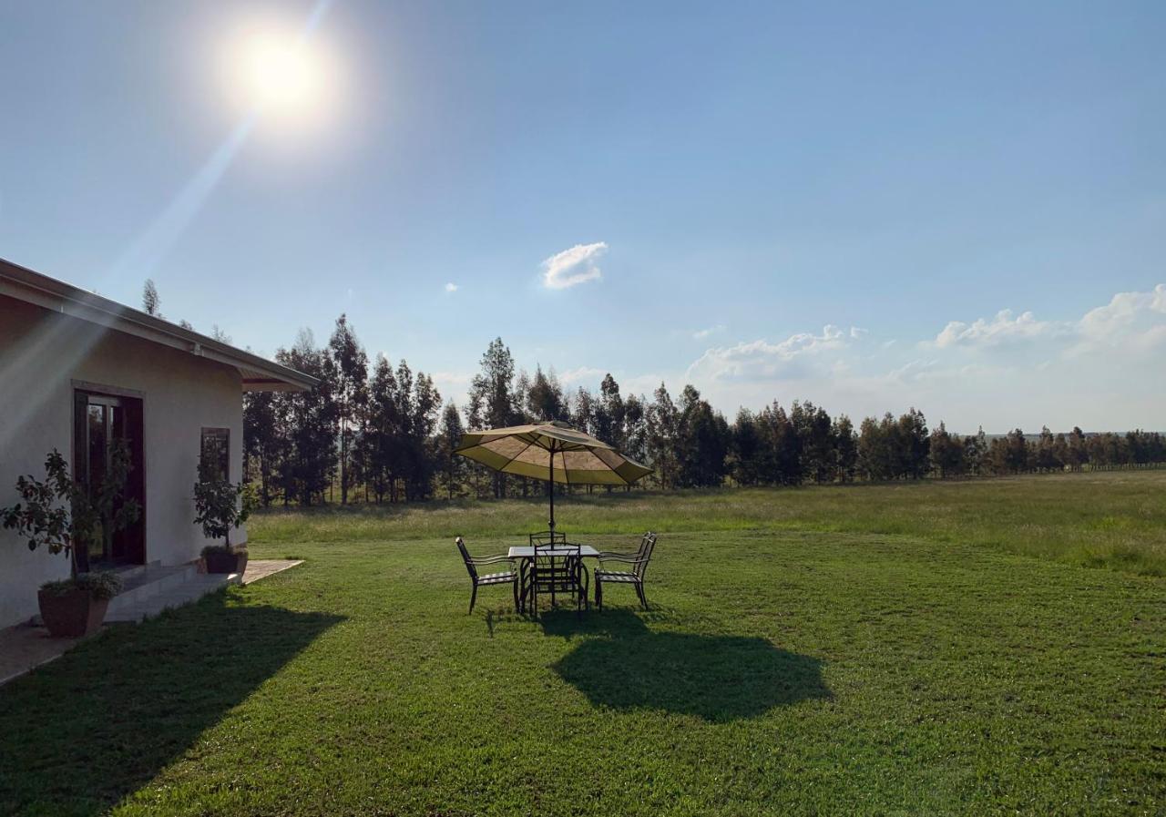 Merino Stal Guest Farm Ermelo Dış mekan fotoğraf